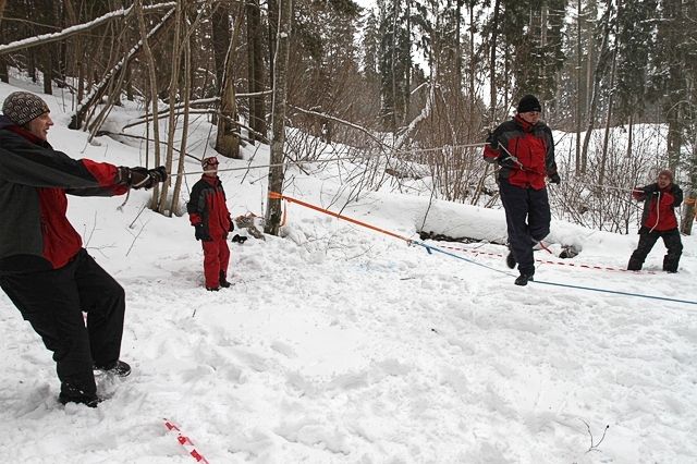 Gallery image 254591