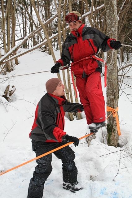 Gallery image 254594