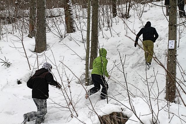 Gallery image 254595