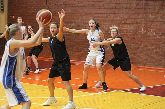 Gallery image 185091