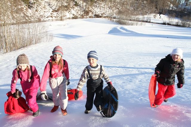 Gallery image 254575