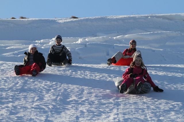 Gallery image 254578