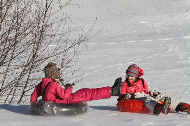 Gallery image 254577