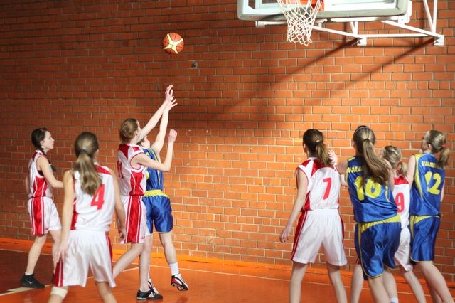 Gallery image 254521