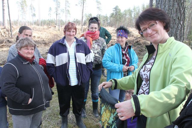 Gallery image 254381