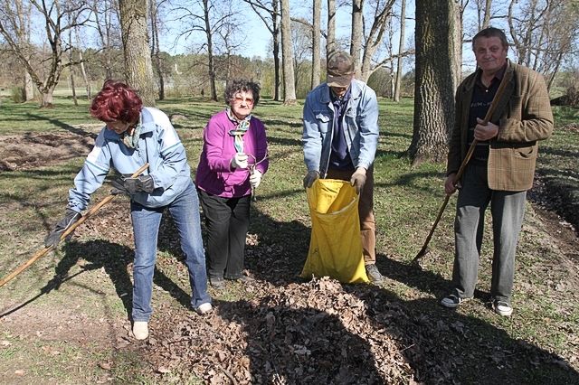 Gallery image 184542