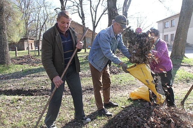 Gallery image 184543