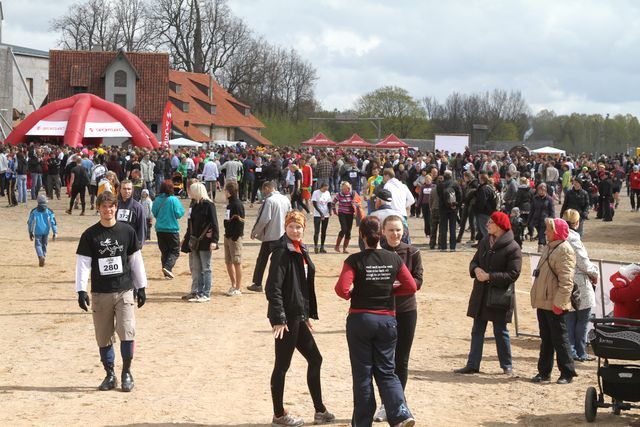 Gallery image 184494