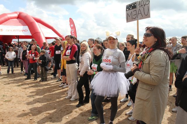 Gallery image 184495