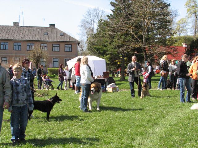 Gallery image 184442