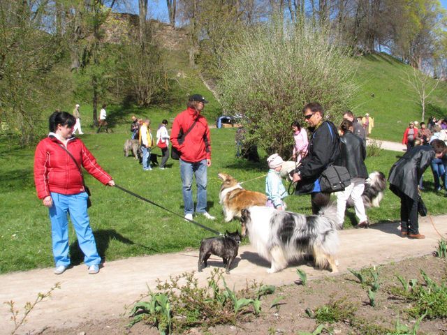 Gallery image 184444