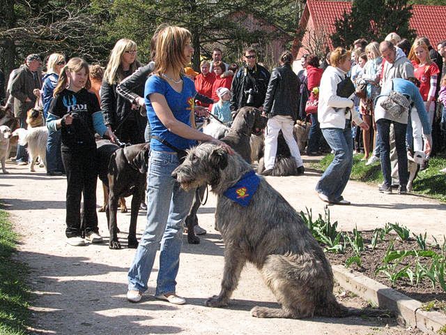 Gallery image 184443