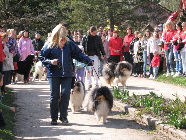 Gallery image 184447