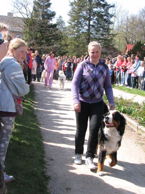 Gallery image 184445