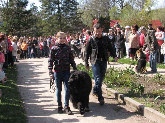 Gallery image 184446