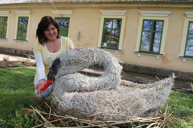 Gallery image 184378