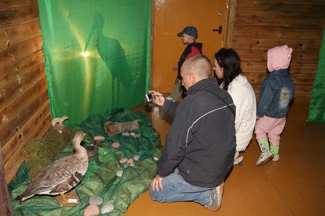 Gallery image 184380