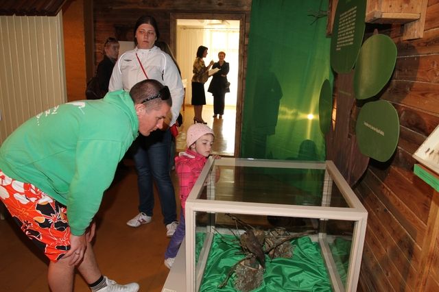 Gallery image 184381