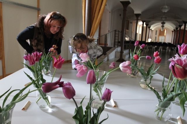 Gallery image 184363