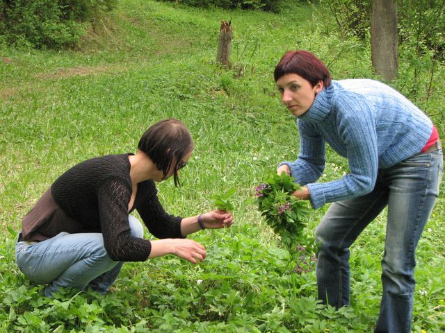 Gallery image 254217