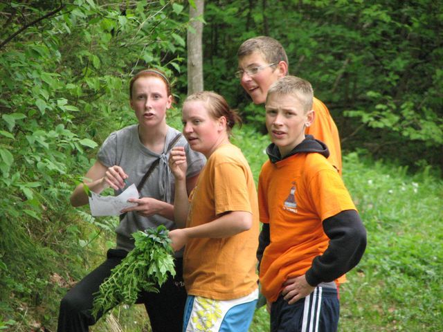 Gallery image 254220