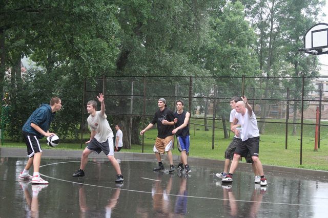 Gallery image 253952