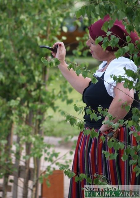 Gallery image 253930