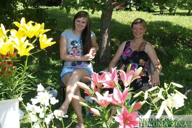 Gallery image 184105