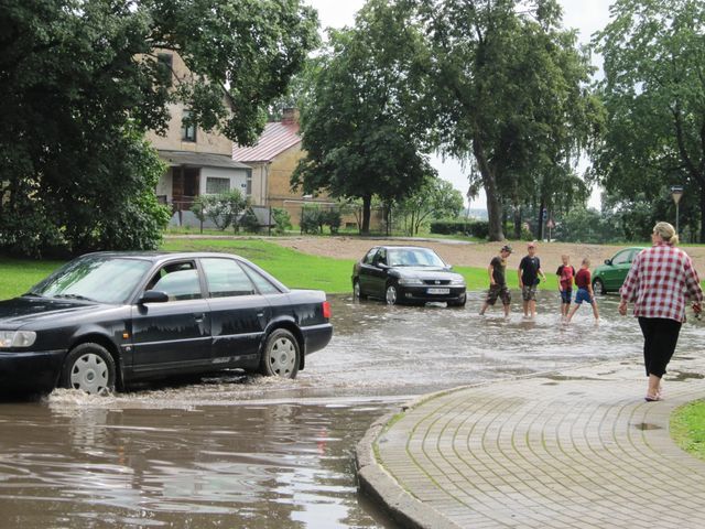 Gallery image 183981