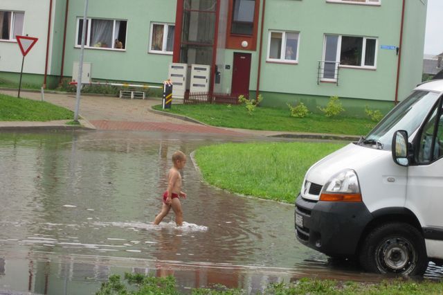 Gallery image 183982