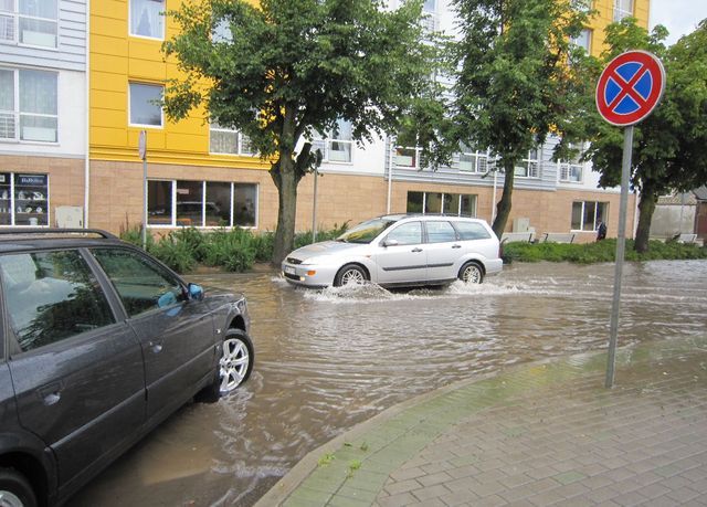 Gallery image 183984