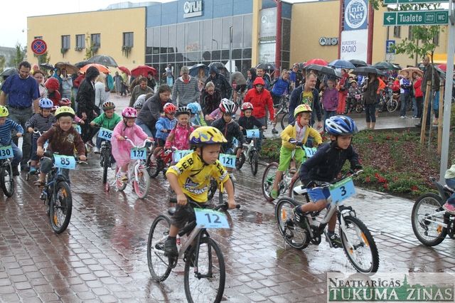 Gallery image 253751