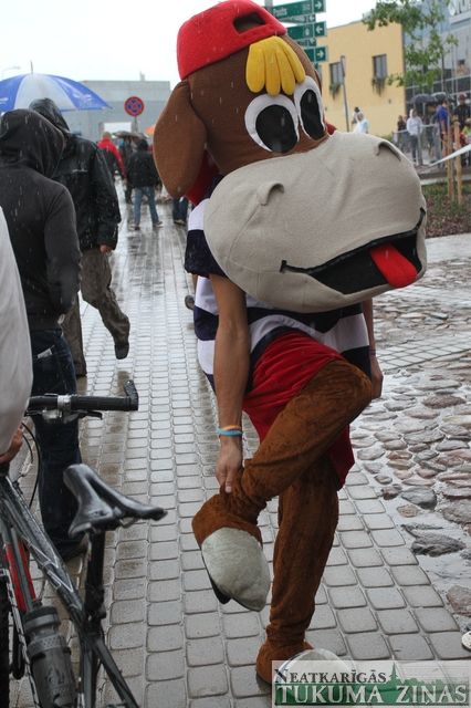 Gallery image 253752