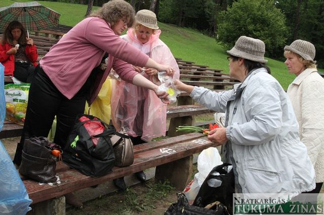 Gallery image 183875