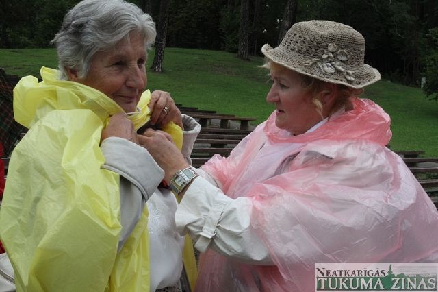 Gallery image 183876