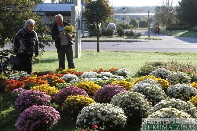 Gallery image 253688