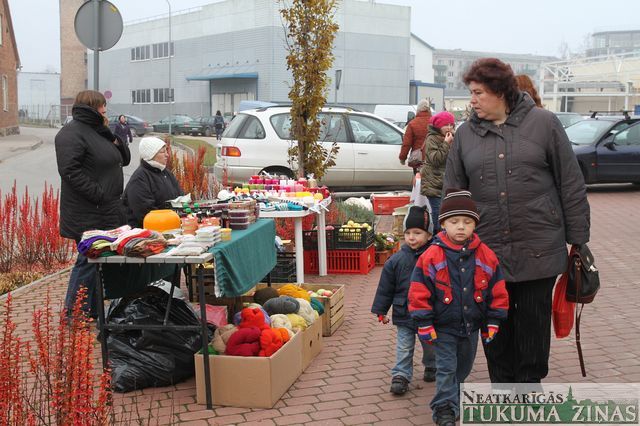 Gallery image 253659