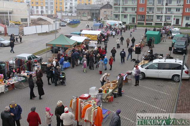 Gallery image 253658