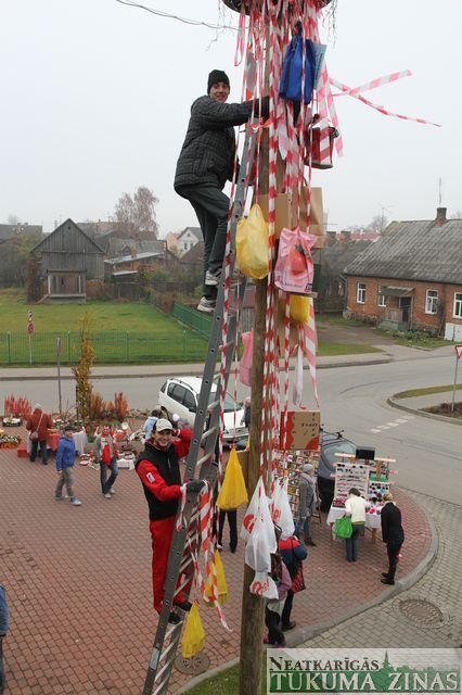 Gallery image 253660