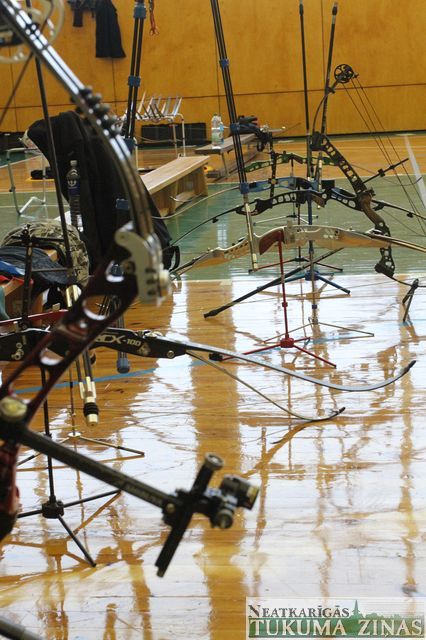 Gallery image 253511