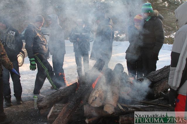 Gallery image 253437