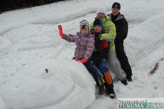 Gallery image 183285