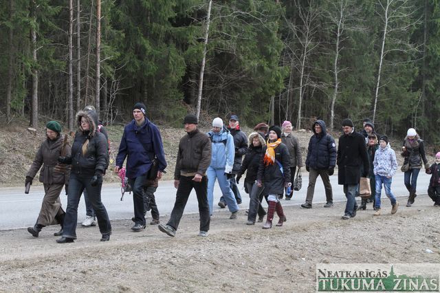 Gallery image 183251