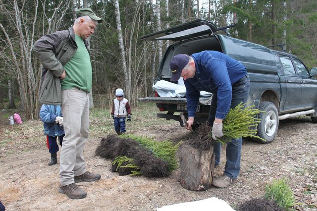 Gallery image 183195