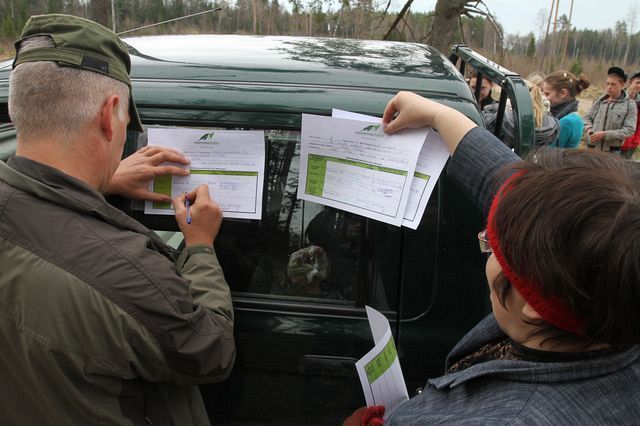 Gallery image 183194