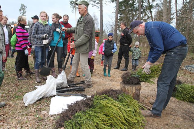 Gallery image 183198