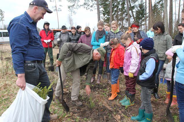 Gallery image 183199