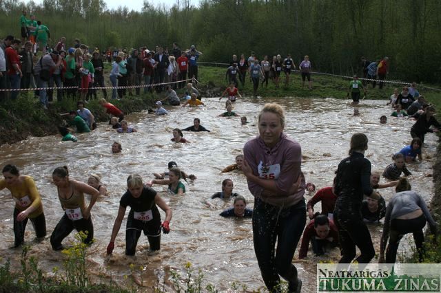 Gallery image 253302