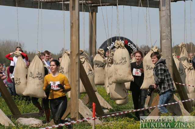 Gallery image 253304