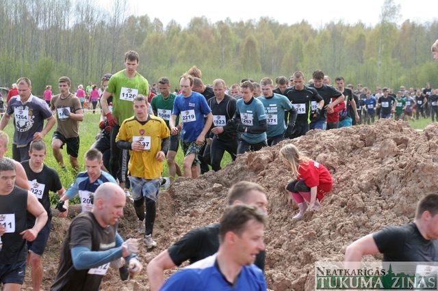 Gallery image 253305